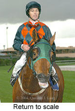 Return to scale (13069 bytes)