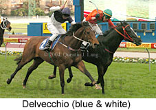 Delvecchio (18256 bytes)