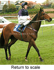 Return to scale (18160 bytes)