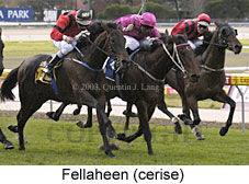 Fellaheen (16505 bytes)