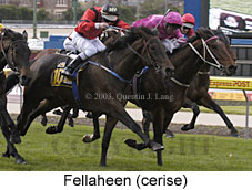 Fellaheen (16505 bytes)