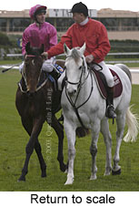 Return to scale (14904 bytes)