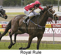 Royal Rule (16505 bytes)