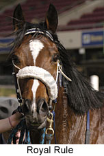 Royal Rule (16505 bytes)