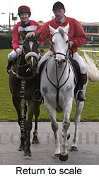 Return to scale (14904 bytes)