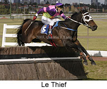 Le Thief (15978 bytes)