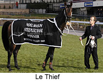 Le Thief (15263 bytes)