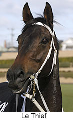 Le Thief (11163 bytes)