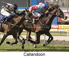 Callandoon (20805 bytes)