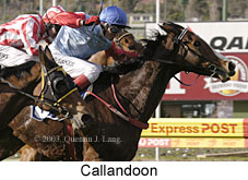 Callandoon (18171 bytes)