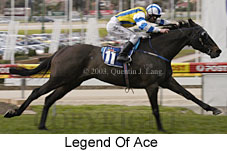 Legend Of Ace (20805 bytes)