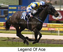 Legend Of Ace (20805 bytes)