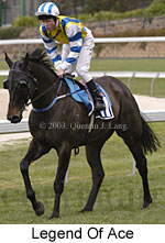 Legend Of Ace (20805 bytes)