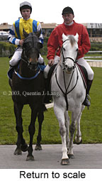 Return to scale (13491 bytes)