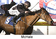 McHale (15595 bytes)