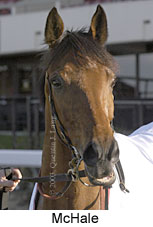 McHale (10223 bytes)