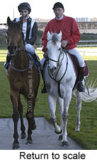 Return to scale (12735 bytes)