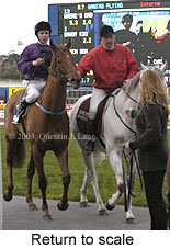 Return to scale (16272 bytes)