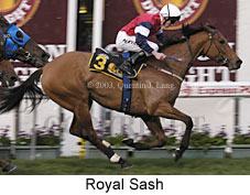 Royal Sash (16616 bytes)