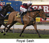 Royal Sash (14427 bytes)