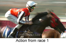 action (11039 bytes)