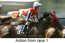 action (11039 bytes)