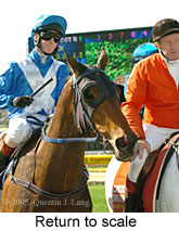 Return to scale (15361 bytes)