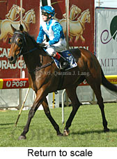 Return to scale (15361 bytes)