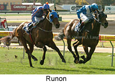 Runon (14872 bytes)