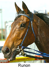 Runon (14872 bytes)