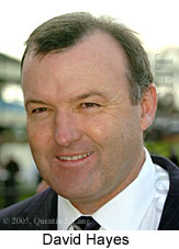 David Hayes (11039 bytes)