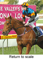 Return to scale (15361 bytes)