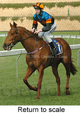 Return to scale (15361 bytes)