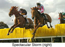 Spectacular Storm (14872 bytes)