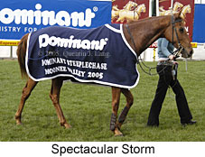 Spectacular Storm (14872 bytes)