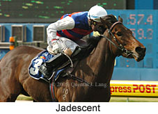 Jadescent (14872 bytes)