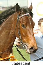 Jadescent (14872 bytes)