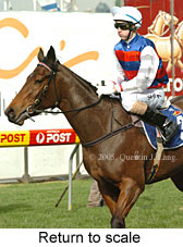 Return to scale (15361 bytes)