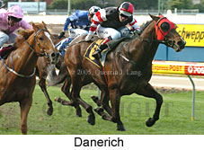 Danerich (15465 bytes)