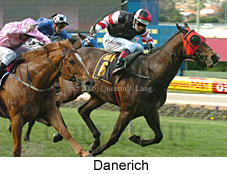 Danerich (14872 bytes)