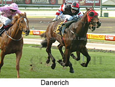 Danerich (14872 bytes)