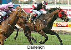 Danerich (14872 bytes)