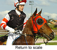 Return to scale (15361 bytes)