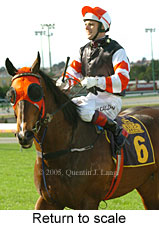 Return to scale (15361 bytes)