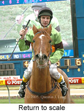 Return to scale (15361 bytes)