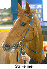 Strikeline (14872 bytes)