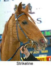 Strikeline (14872 bytes)