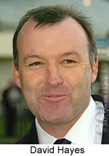 David Hayes (15361 bytes)