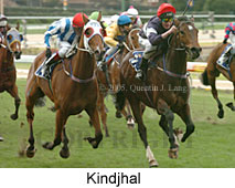 Kindjhal (14872 bytes)