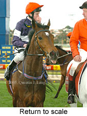 Return to scale (15361 bytes)